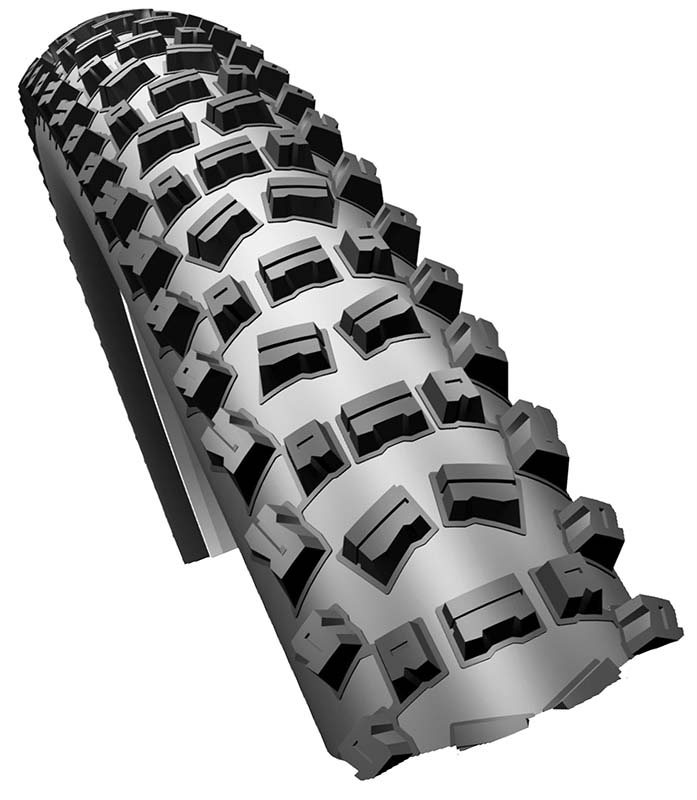 Велопокрышки Schwalbe Fat Albert Evo Snakeskin Triple Nano 2010 26 х 2,4