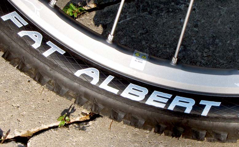 Покрышки горного велосипеда Schwalbe Fat Albert
