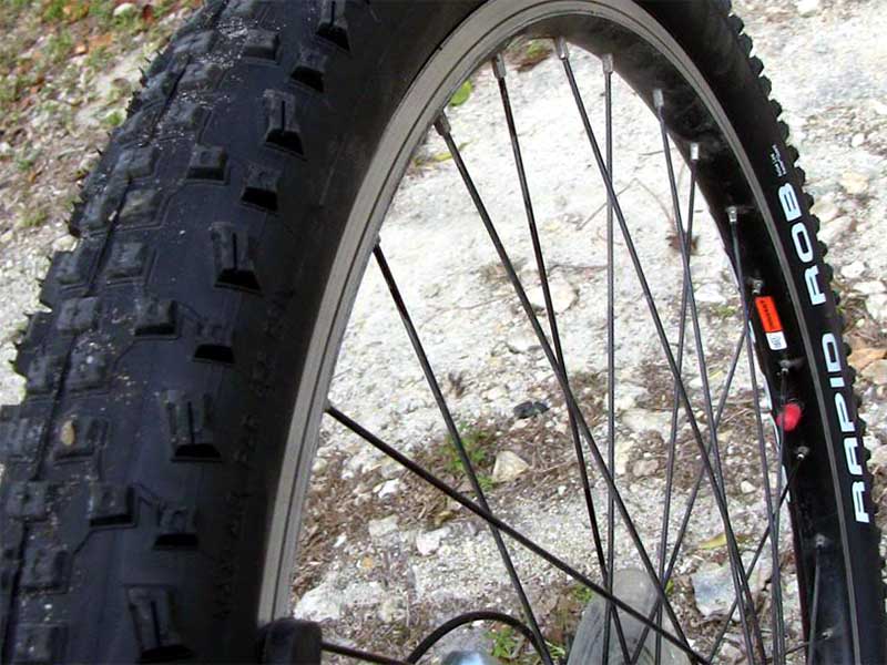 Покрышка Schwalbe Rapid Rob на горном велосипеде