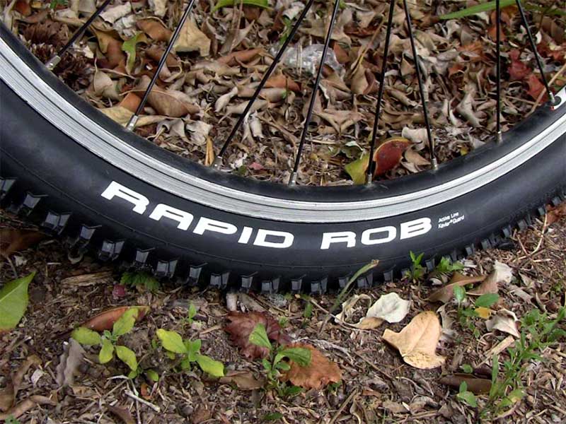 Покрышки для горного велосипеда Schwalbe Rapid Rob