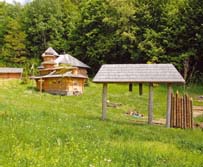 Сечь в селе Красная Дубрава