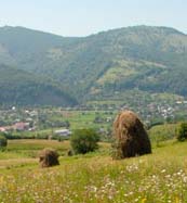 Отдых в Карпатах в Яремче
