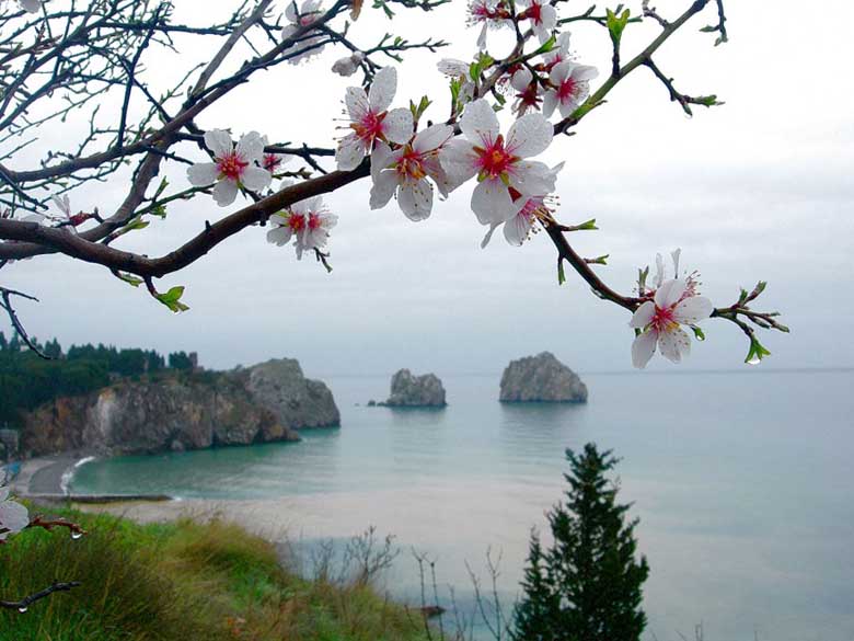 Крым в мае