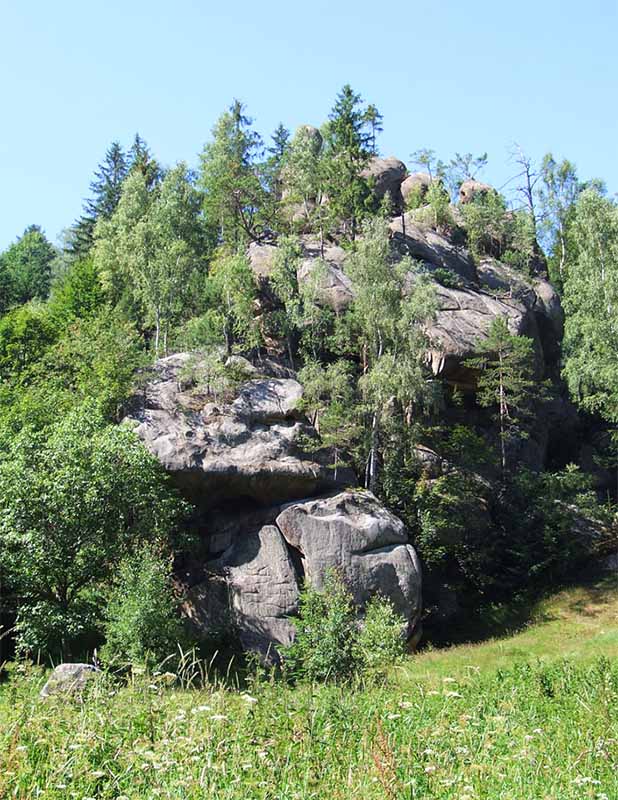 Заказник Урочище Терношоры