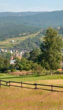 Даунхилл в Карпатах