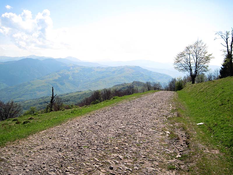 Каменная дорога в Карпатах